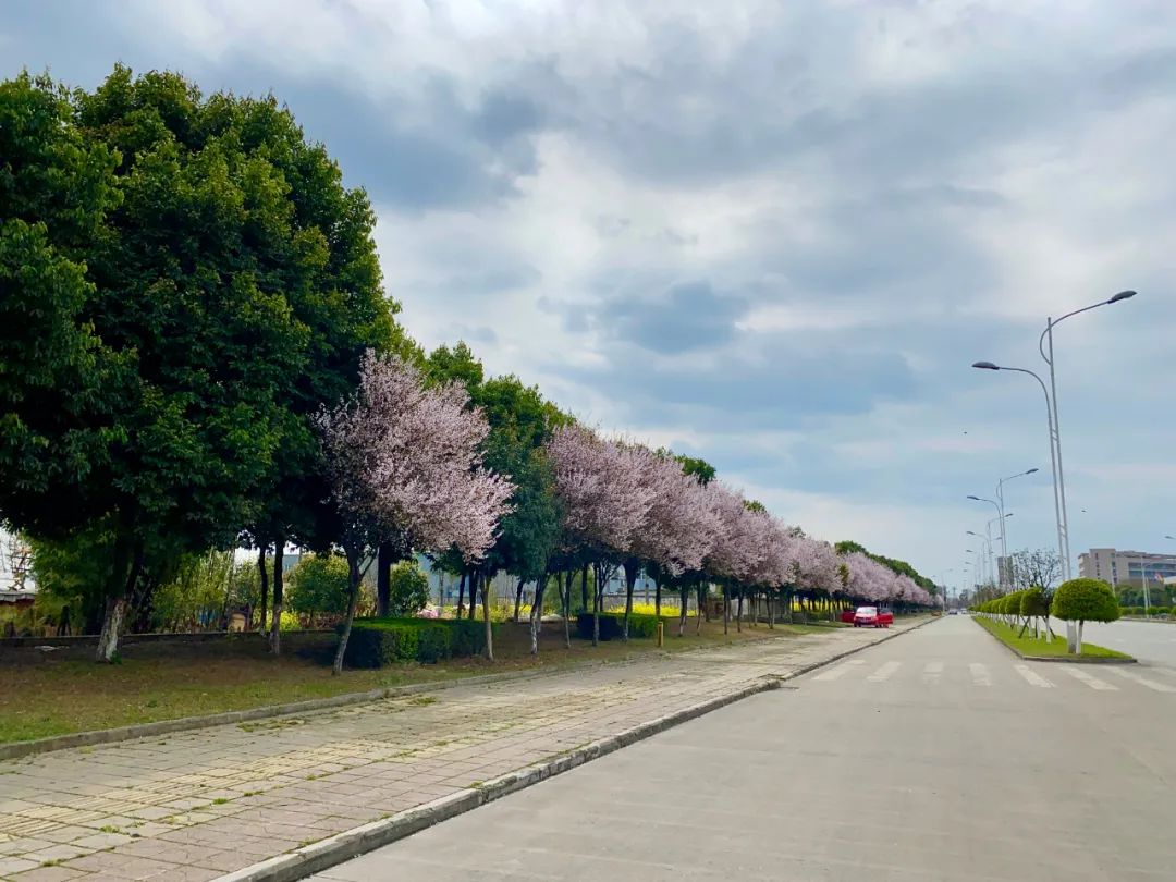 什邡风景好看的地方,什邡附近比较有名的景色