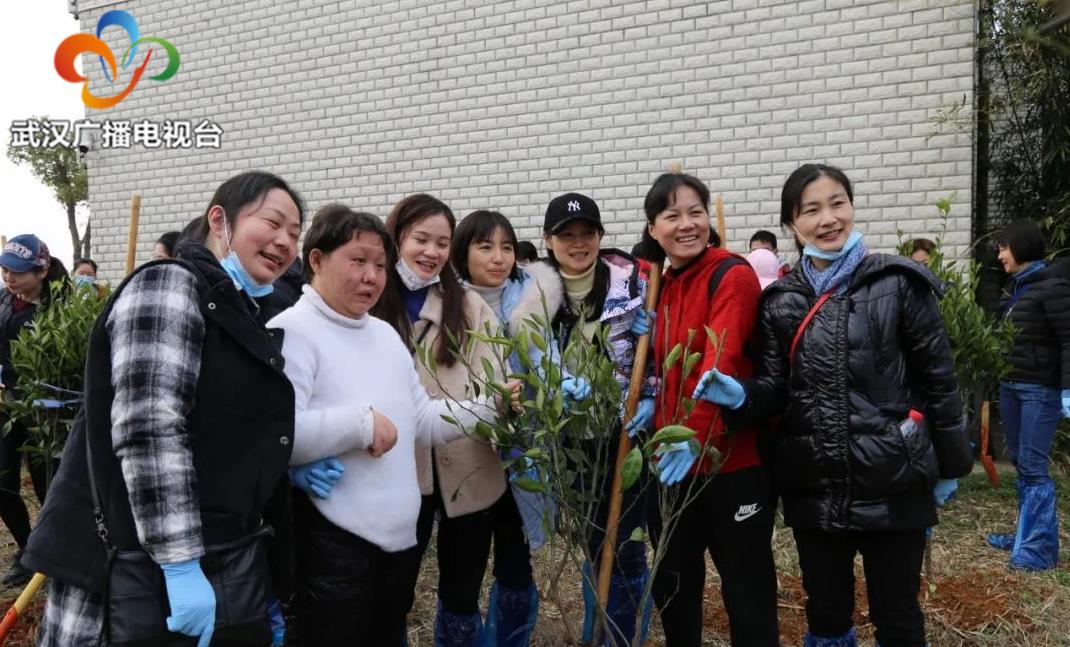 喜迎女神节争当志愿者武汉海关走进爱特田园融合活动
