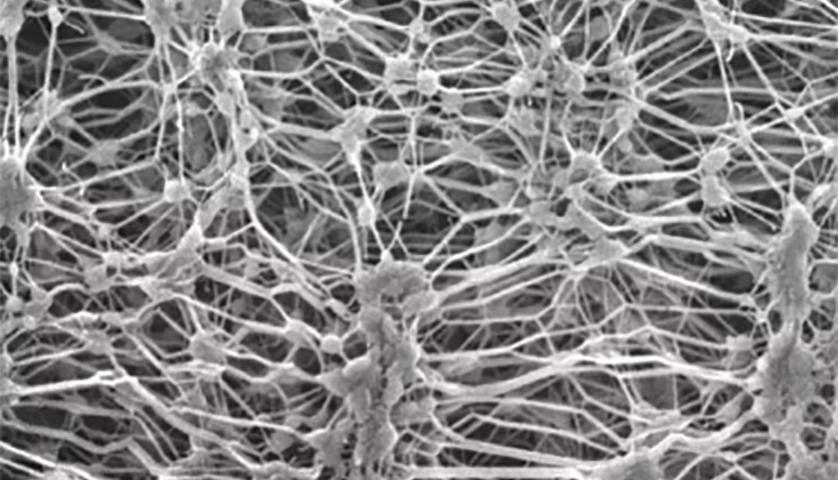 「深度」让不同品牌贴上同一个商标，这款面料成了户外用品热卖的真正赢家