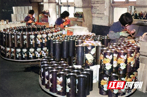 让色彩照进百年历史丨百年抗争:致敬了不起的她