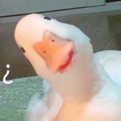 山河令替身穿帮镜头,电视剧山河令穿帮