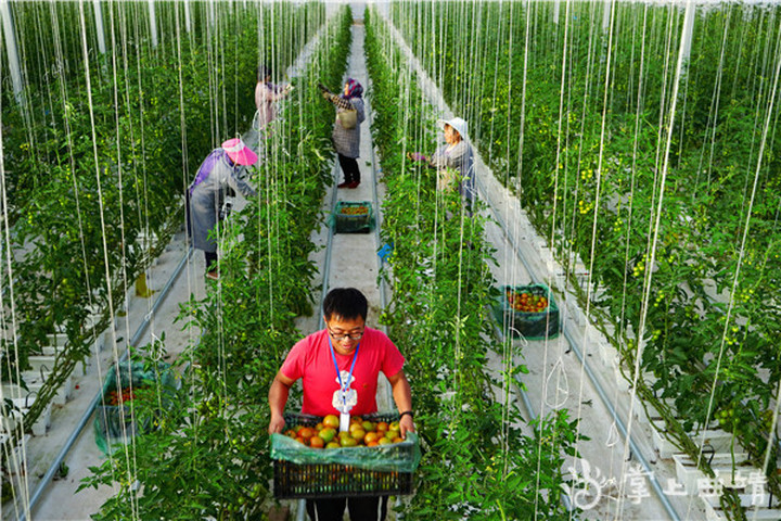 实干担当促发展砥砺奋进谱新篇,脱贫攻坚先进集体事迹范文