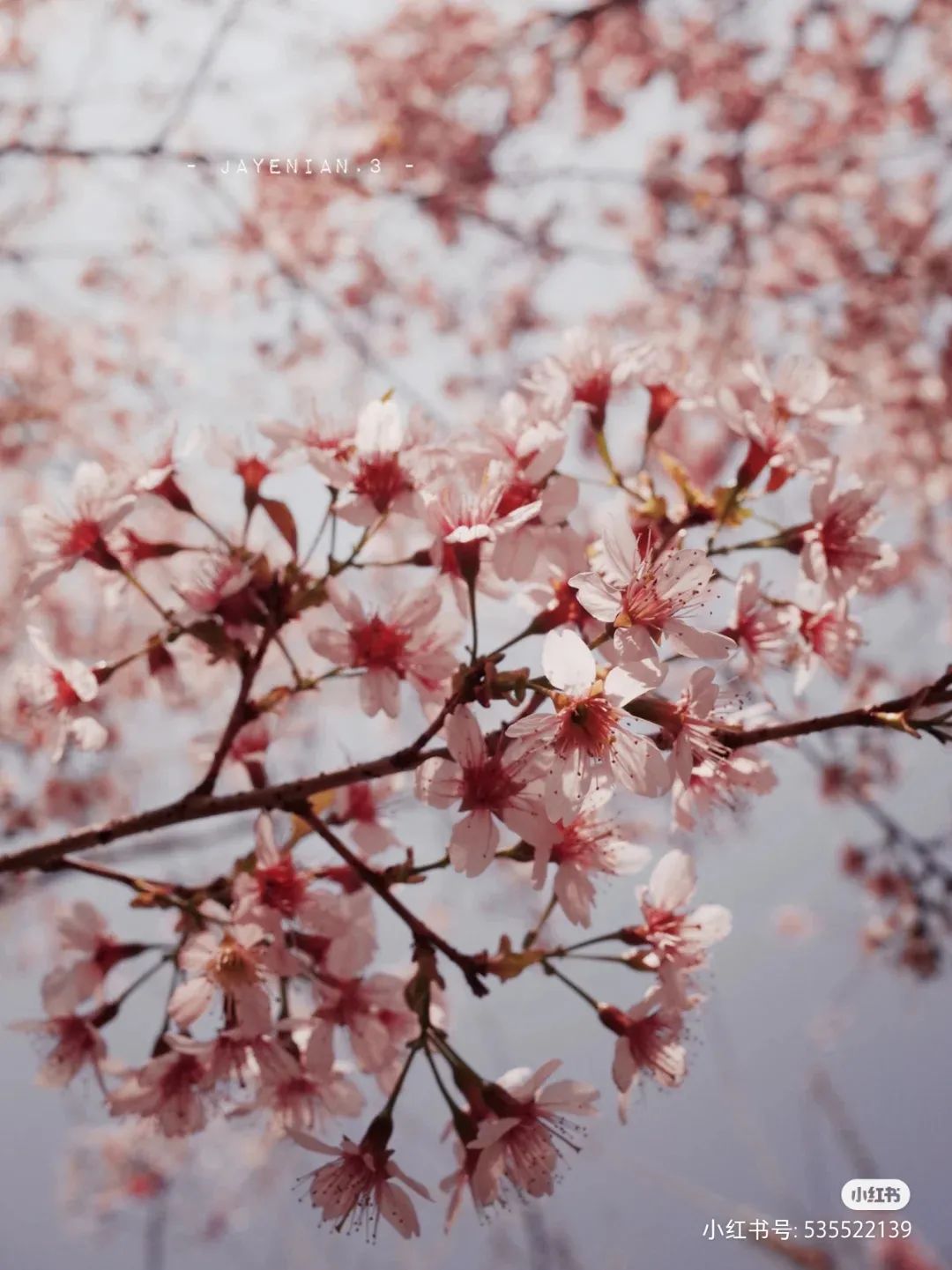 泉州十大最值得去的景点排名,泉州最值得去的十大旅游景点