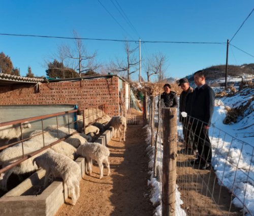 全国脱贫攻坚战优秀个人表彰,脱贫攻坚先进个人人民日报