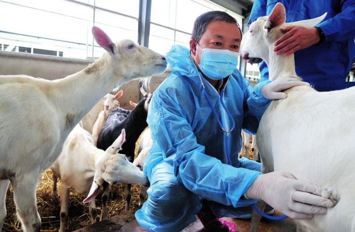 鍑′汉鏁呬簨澶у叏,鍑′汉鏁呬簨绯诲垪