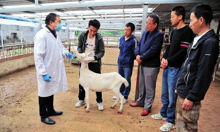 鍑′汉鏁呬簨澶у叏,鍑′汉鏁呬簨绯诲垪