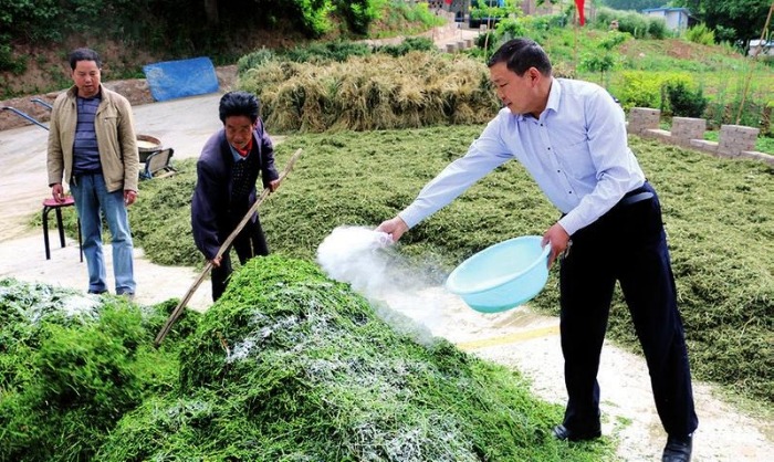 鍑′汉鏁呬簨澶у叏,鍑′汉鏁呬簨绯诲垪