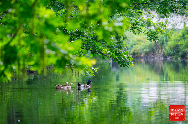 春之韵诗词原创,春之韵诗词10首