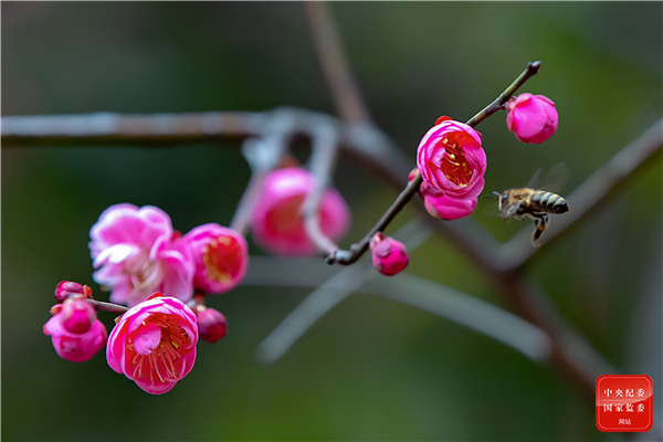 春之韵诗词原创,春之韵诗词10首