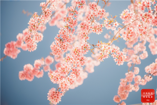 春之韵诗词原创,春之韵诗词10首