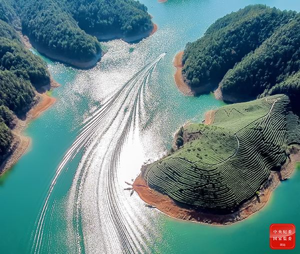 春之韵诗词原创,春之韵诗词10首