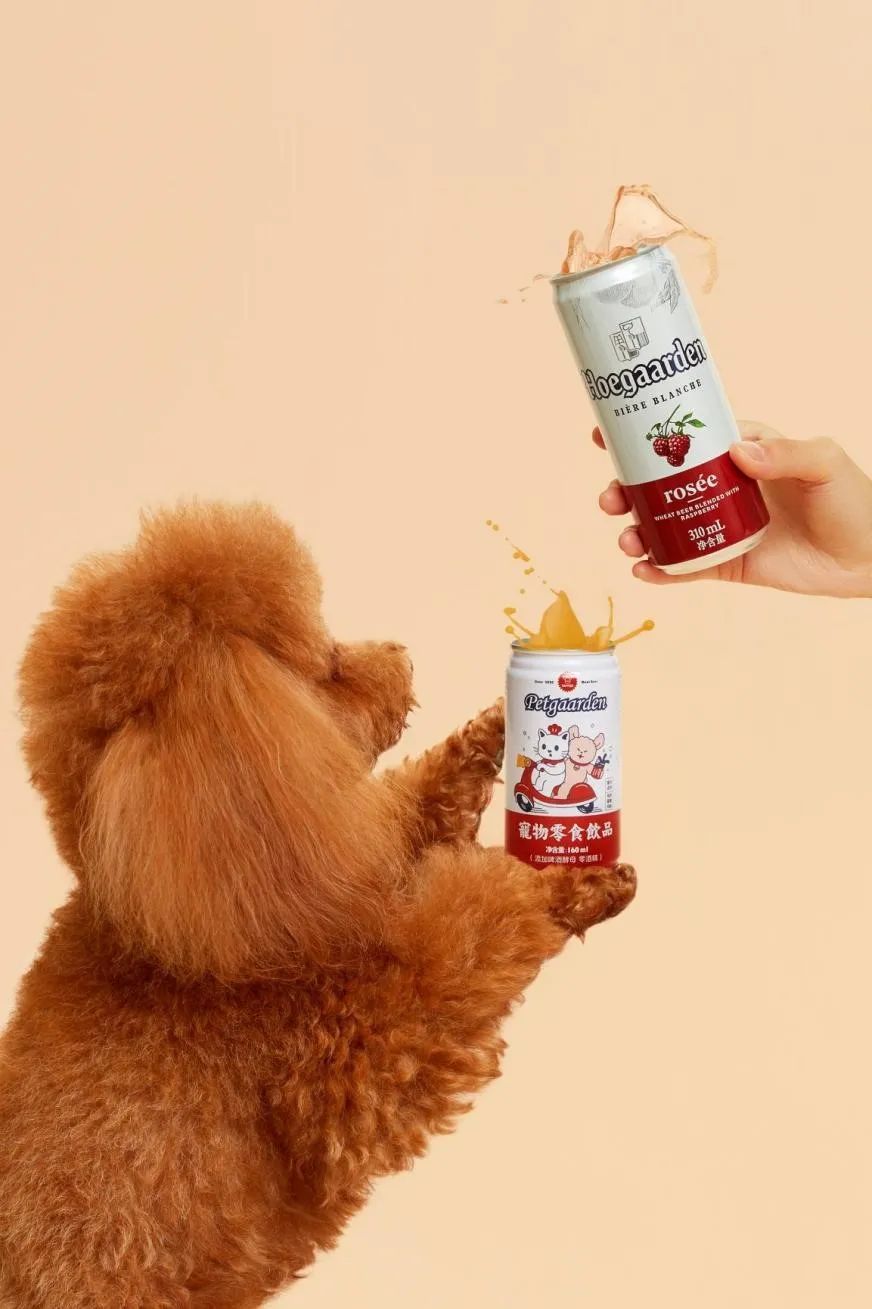 25岁，我给猫狗做奶茶，年入300万|后窗