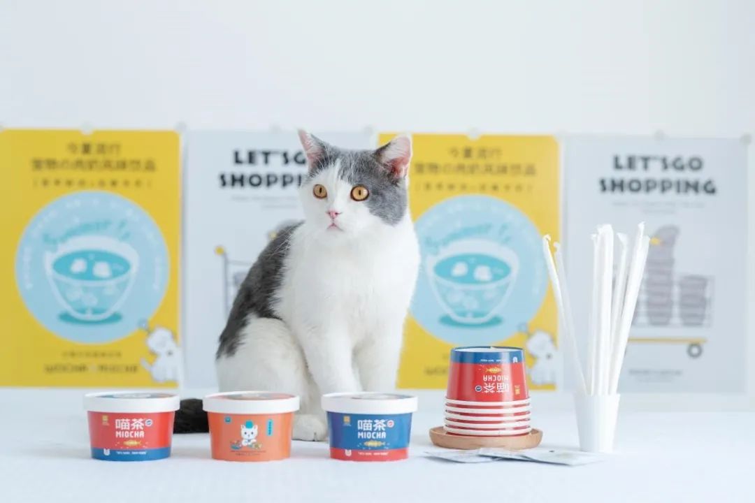 25岁，我给猫狗做奶茶，年入300万|后窗