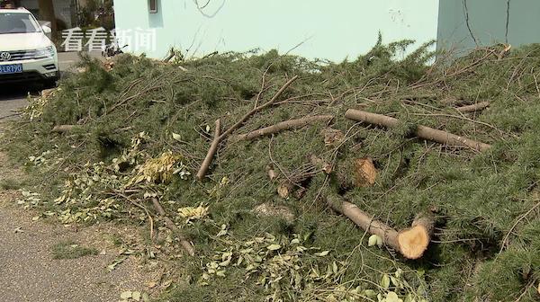 老旧小区改造中的大树被砍伐,小区绿化破坏了如何补救