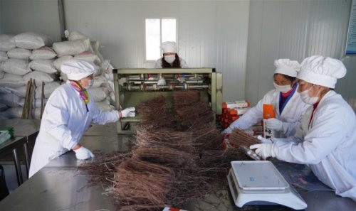 一场特色产品推介会,线上+线下销售1300余万元,汉滨区这群“硒哥硒妹”咋做到的