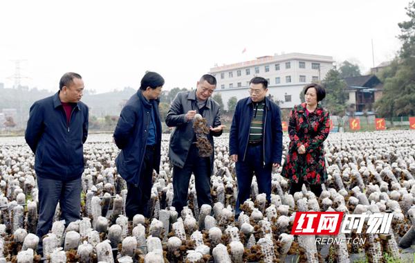 全国脱贫攻坚总结表彰大会直播,全国脱贫攻坚总结表彰活动通知