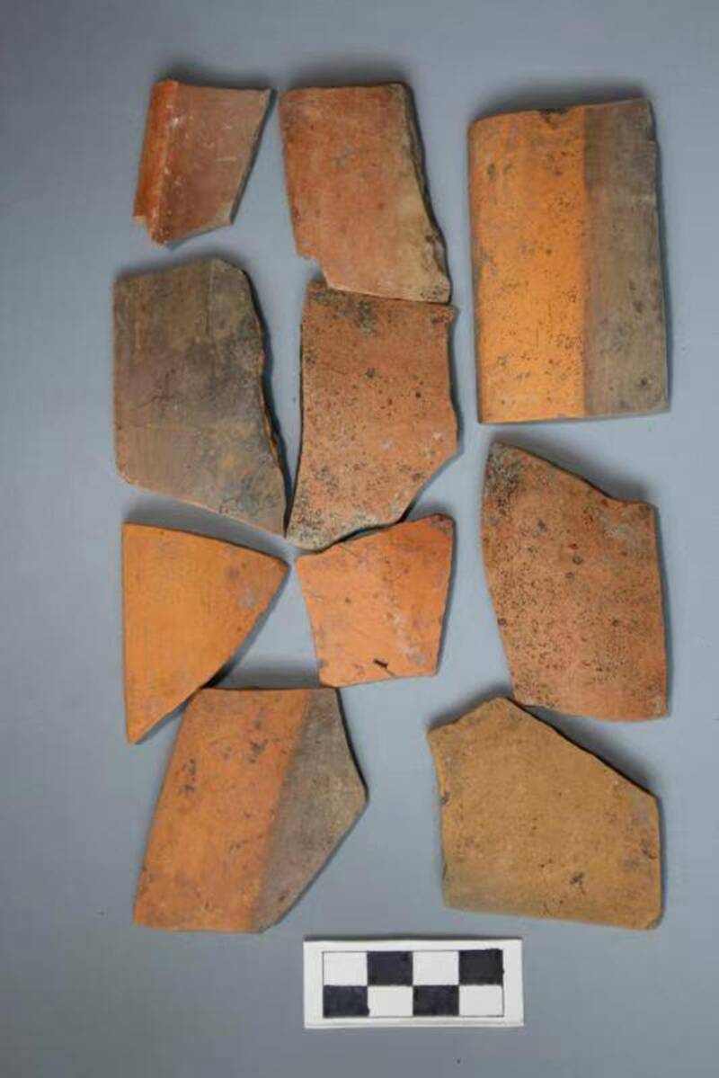 菏泽青堌堆遗址考古,菏泽十大考古发现