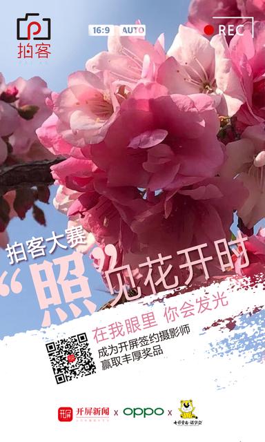 猪肉自由行为什么便宜,2022年昆明猪肉价格上涨原因