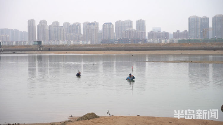 水头现挖新鲜海蛎,3小时挖80斤牡蛎