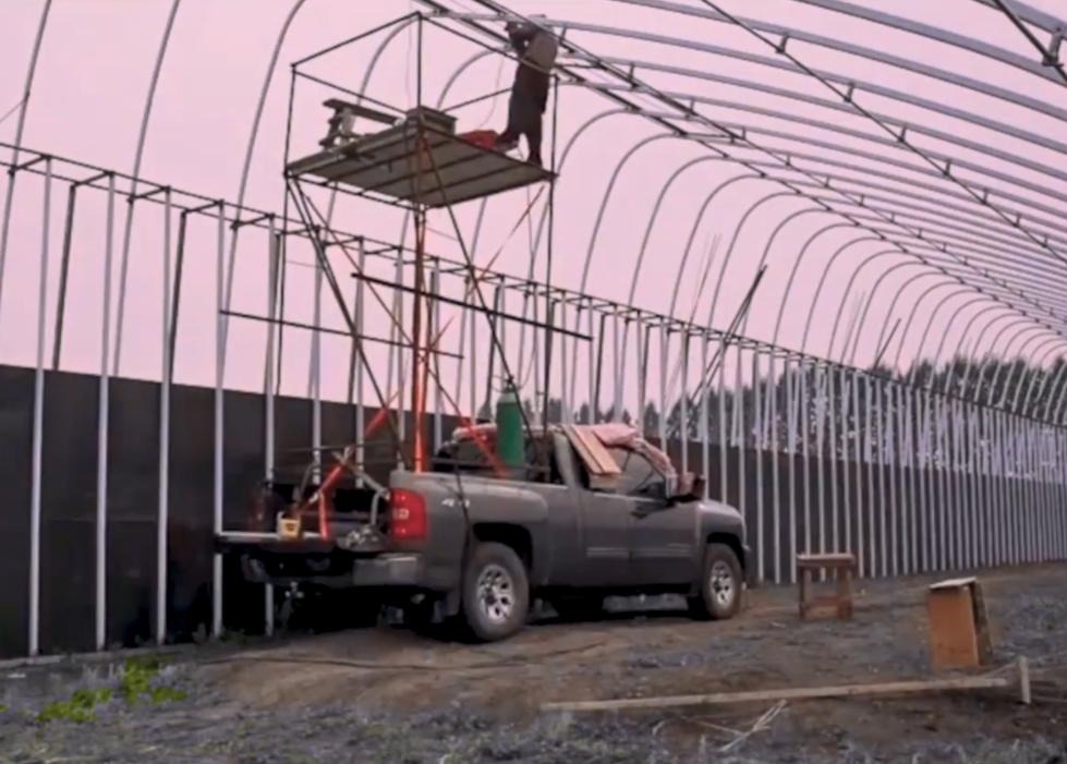 北大学生回国种菜,一位北大毕业生在加拿大种菜