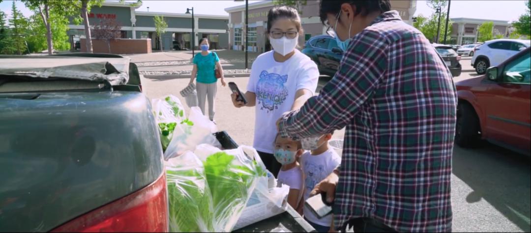 北大学生回国种菜,一位北大毕业生在加拿大种菜