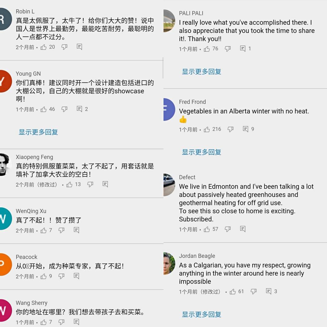 北大学生回国种菜,一位北大毕业生在加拿大种菜