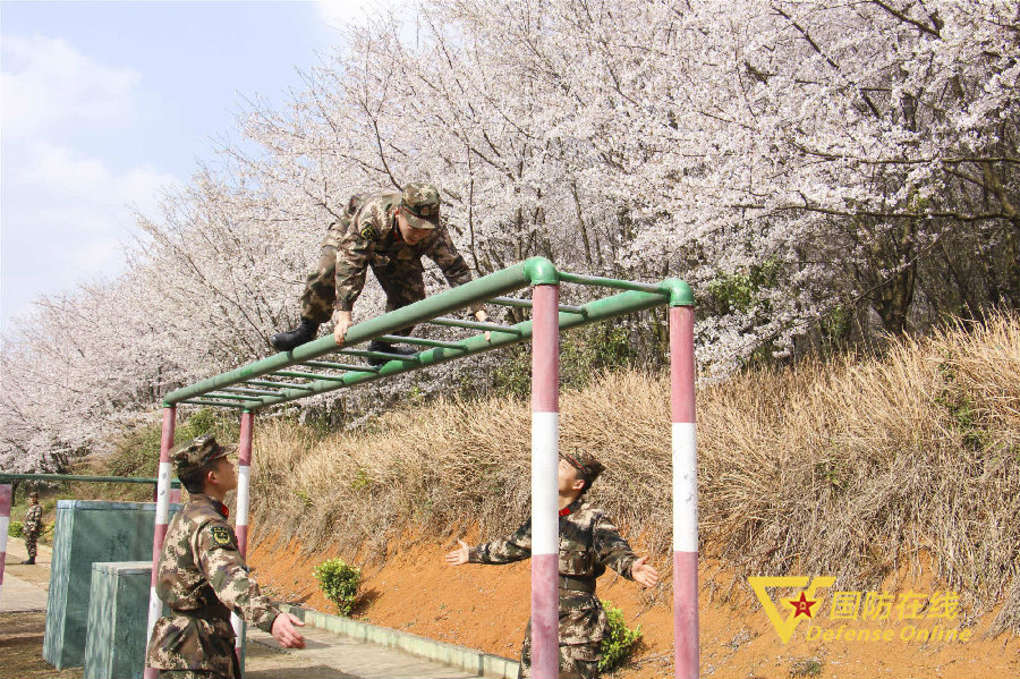 迷彩绿遇到火焰蓝,樱花粉和迷彩绿的交融