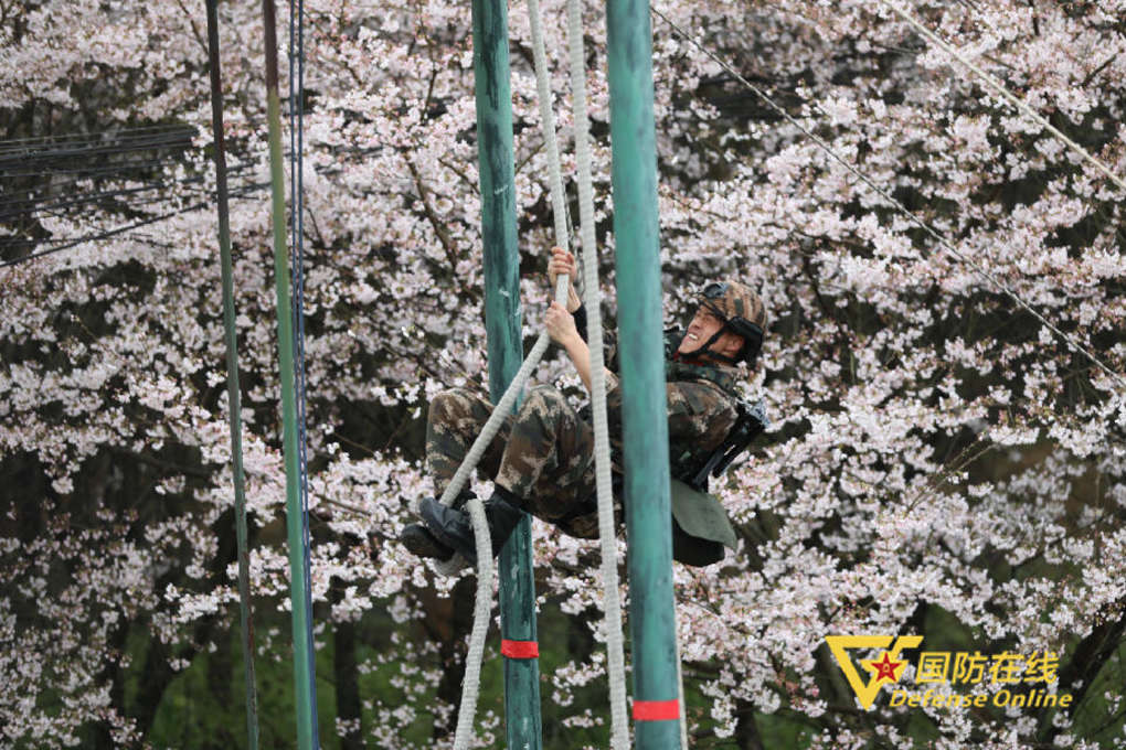 迷彩绿遇到火焰蓝,樱花粉和迷彩绿的交融