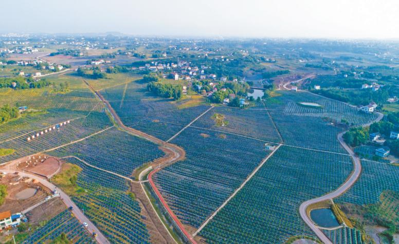 奋进新征程绘就新蓝图1000字,砥砺奋进绘蓝图