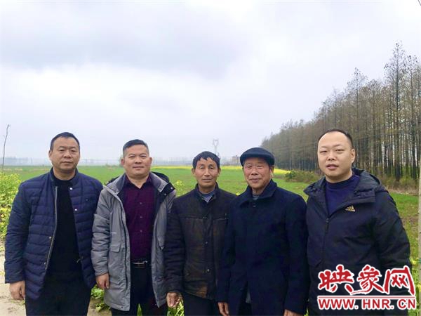 中原农险新模式,中原农险行动