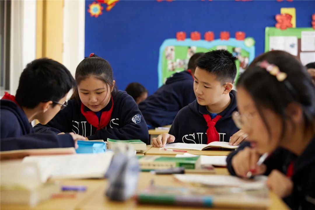 协和双语教科学校招生简章,协和教科双语学校国内课程