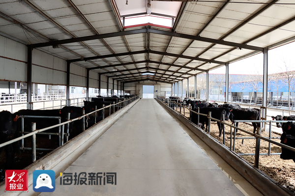 阳信数字化牧场亿利源,阳信亿利源清真肉类有限公司地址