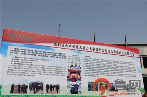 阳信数字化牧场亿利源,阳信亿利源规模