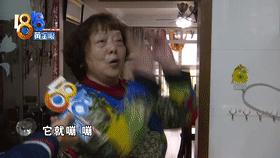 菜还没热好燃气灶炸了，此“樱花”非彼“樱花”？