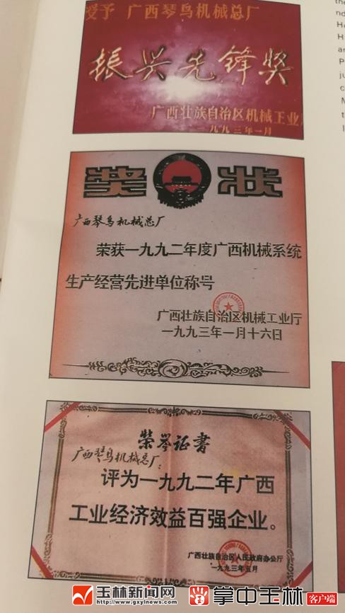 琴岛凤凰,琴鸟和凤凰