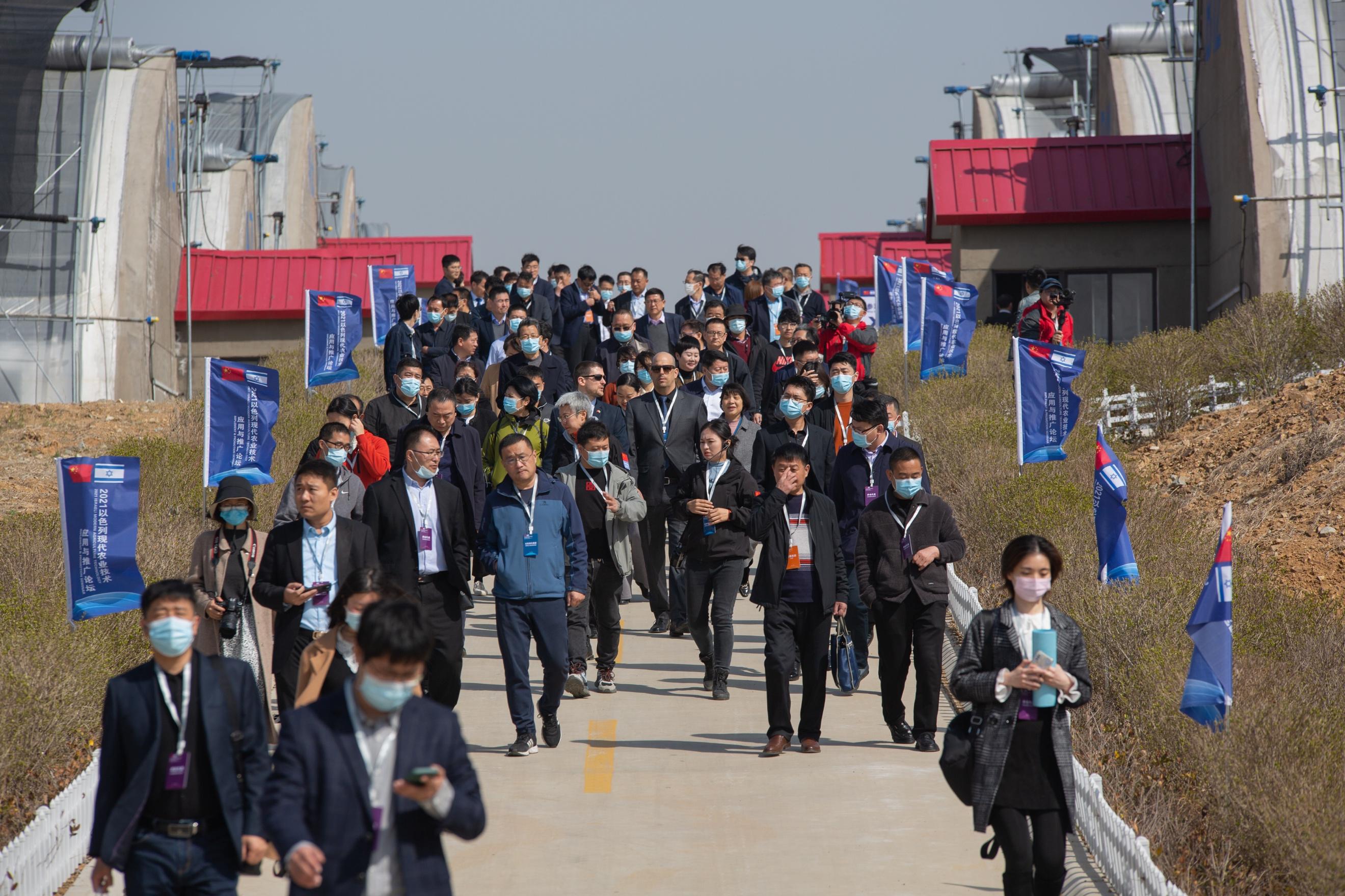 以色列农业的先进技术视频,以色列现代农业