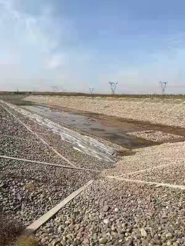 怎么办？利通区18万头牛的“水槽”快见底了