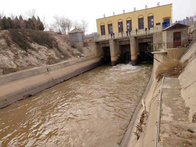 怎么办？利通区18万头牛的“水槽”快见底了