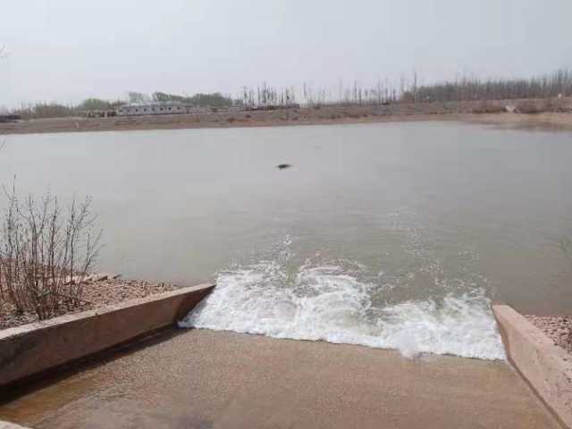 怎么办？利通区18万头牛的“水槽”快见底了