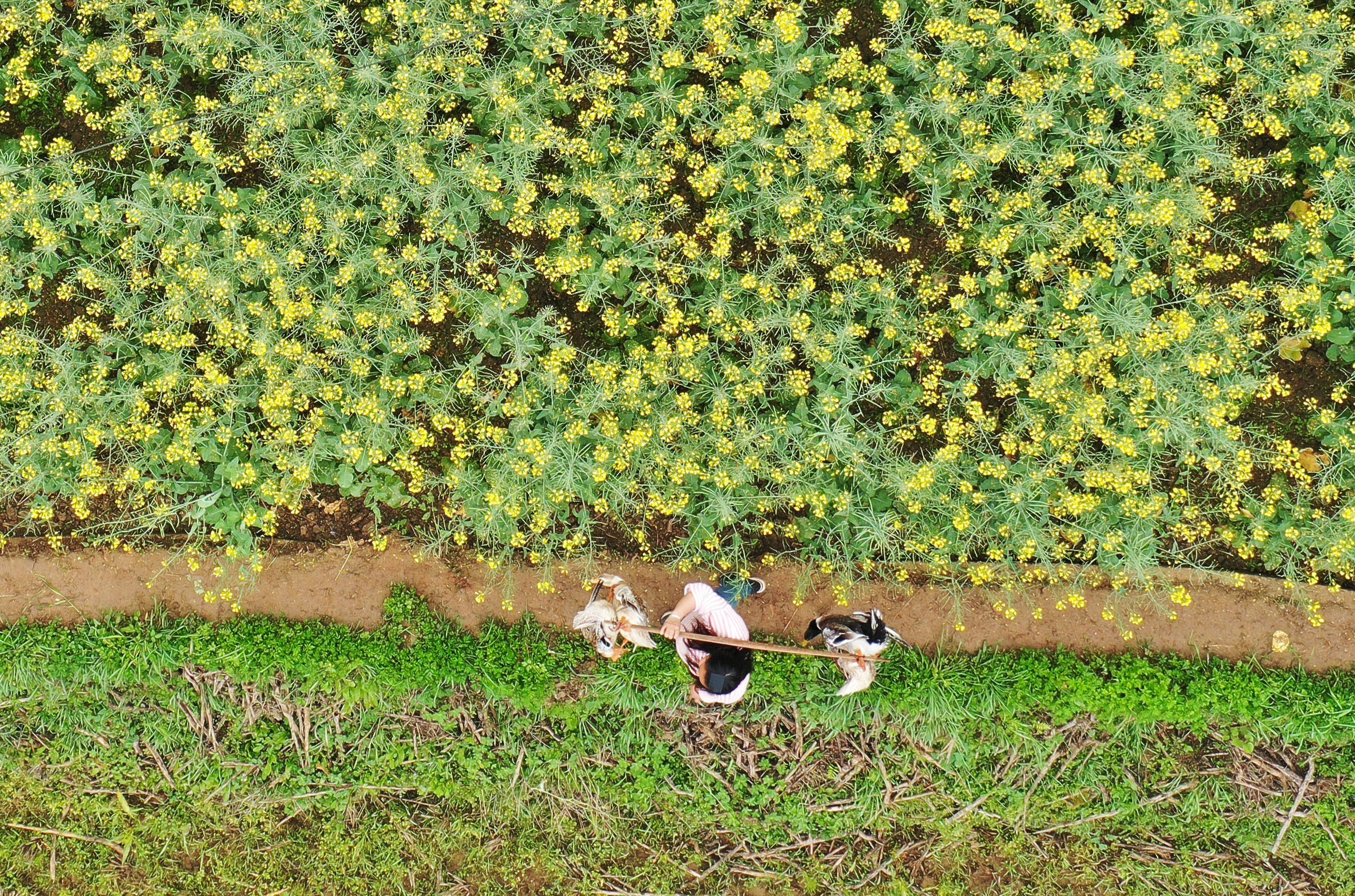 #(图片故事)贵州玉屏:“女货郎”送货记