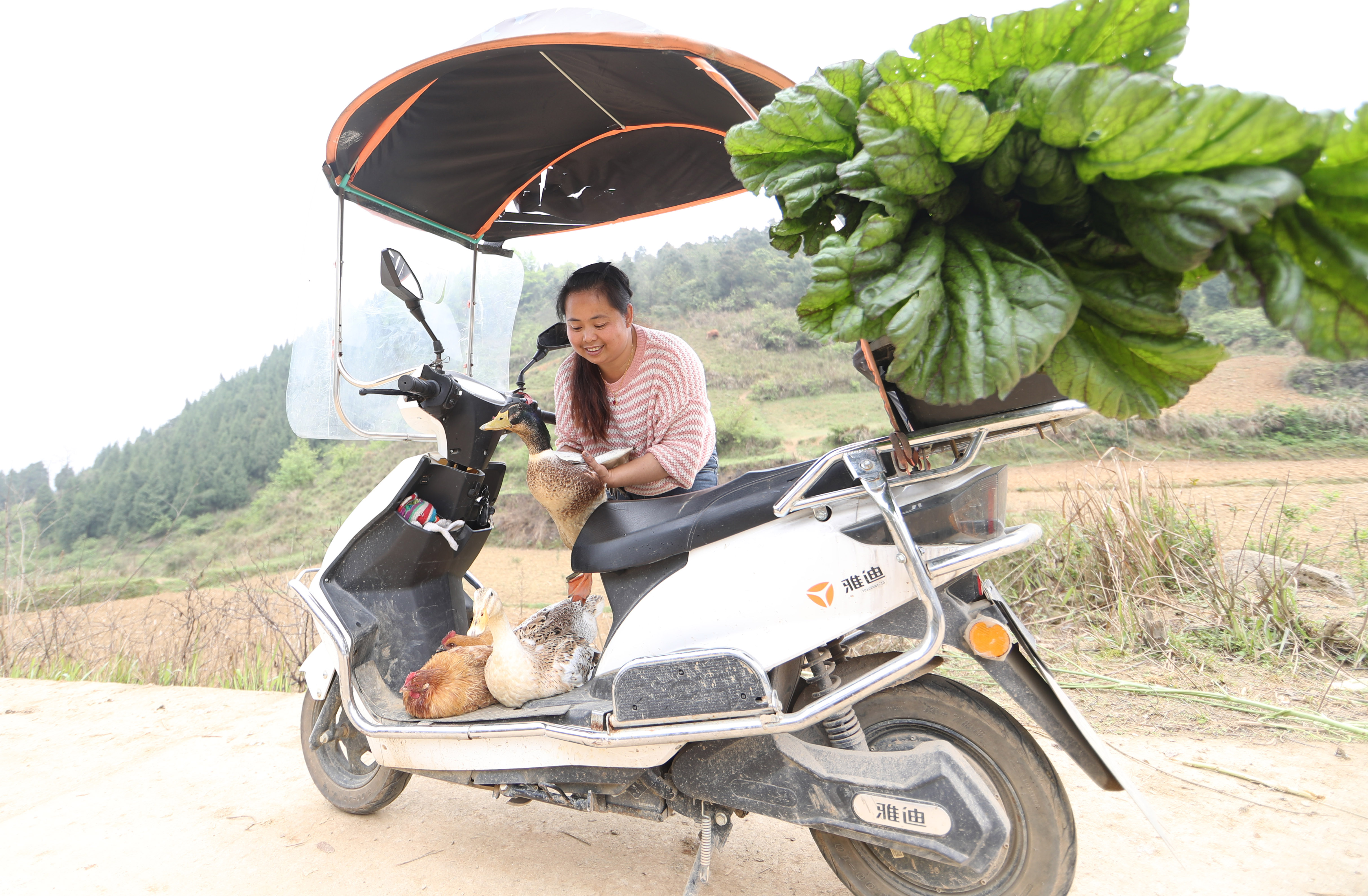 #(图片故事)贵州玉屏:“女货郎”送货记