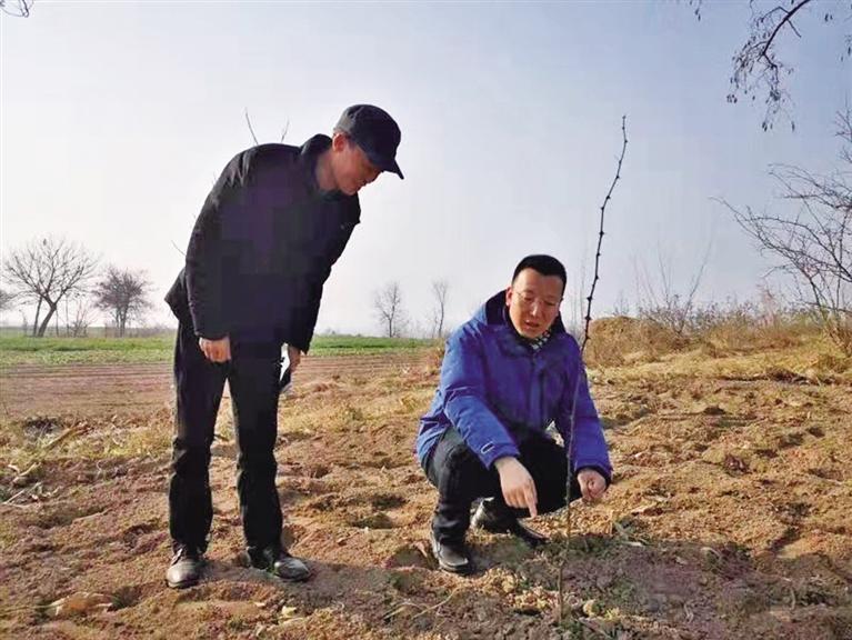 兴产业为群众谋出路,村里来了个书记带领全村致富