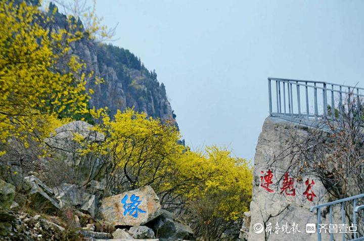 济南青铜山大峡谷云梯,东海灵岩景区千步云梯