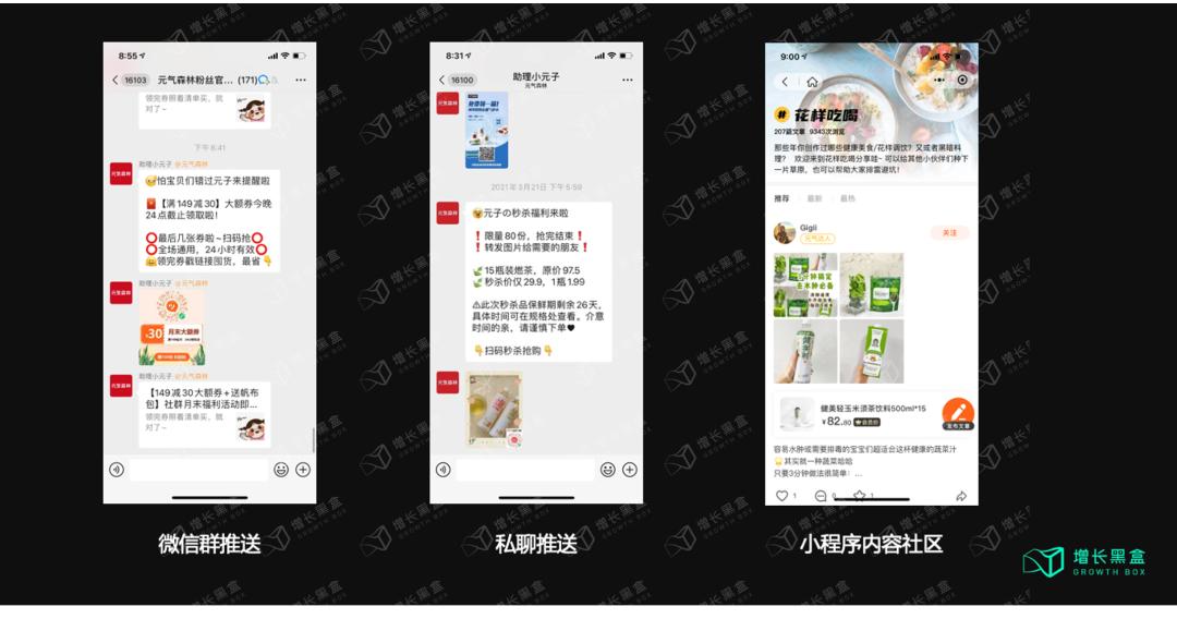 元气森林的性能分析,元气森林的内部分析