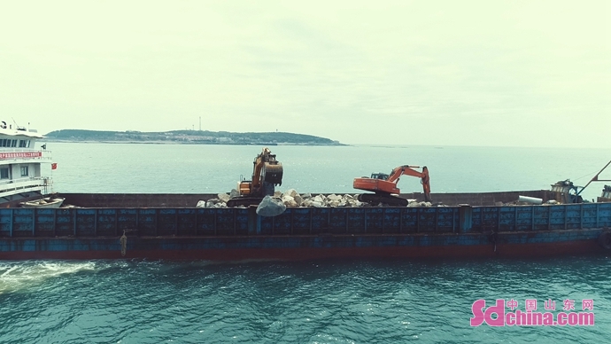 好海参好海域,好海参选老渔湾