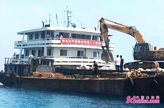 好海参好海域,好海参选老渔湾