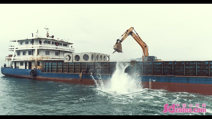 好海参好海域,好海参选老渔湾