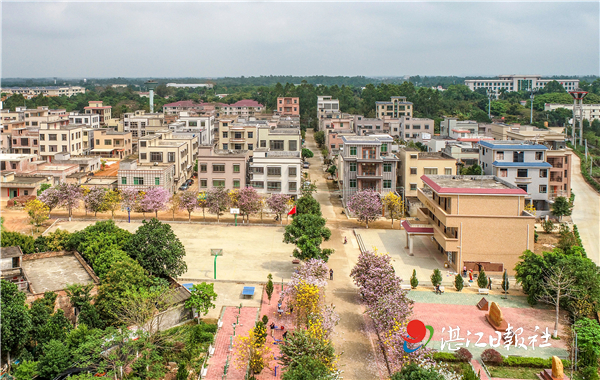 遂溪风朗村,遂溪风朗村图片