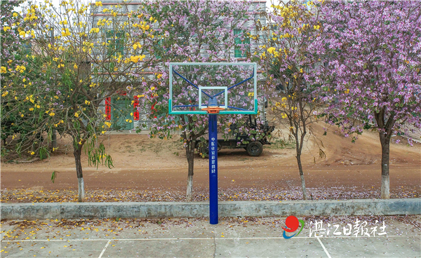 遂溪风朗村,遂溪风朗村图片