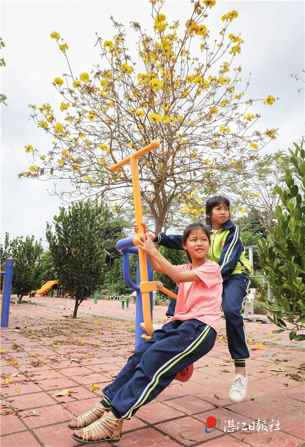 遂溪风朗村,遂溪风朗村图片